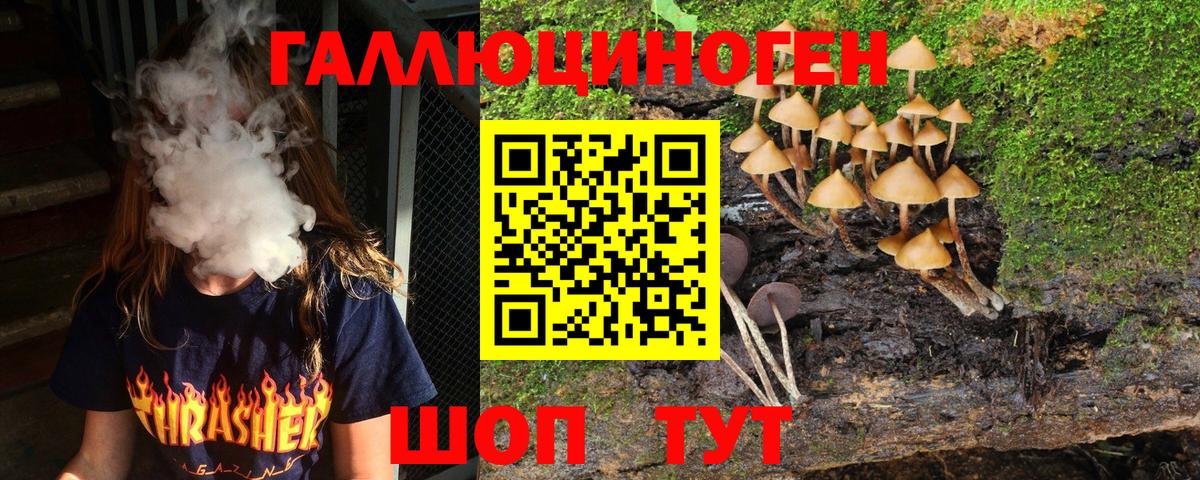 Горно-Алтайск  Галлюциногенные грибы Magic Shrooms  Вход с VPN 