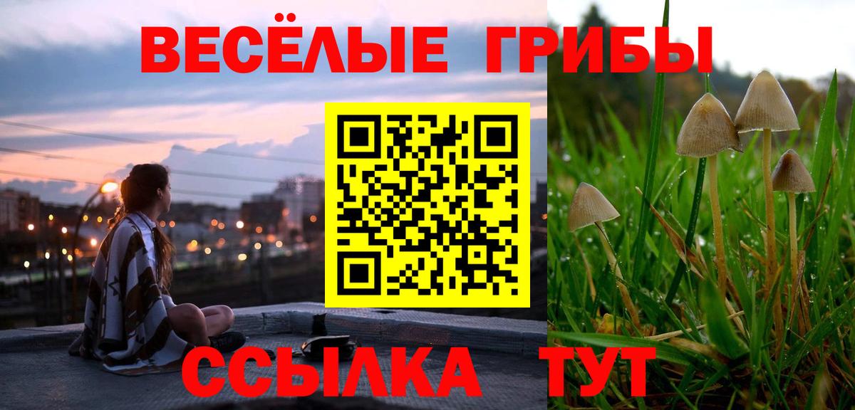 Галлюциногенные грибы мицелий Горно-Алтайск